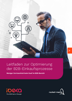 PDF-E-Book zum B2B Buying Process mit der Digital Experience Platform von Ibexa
